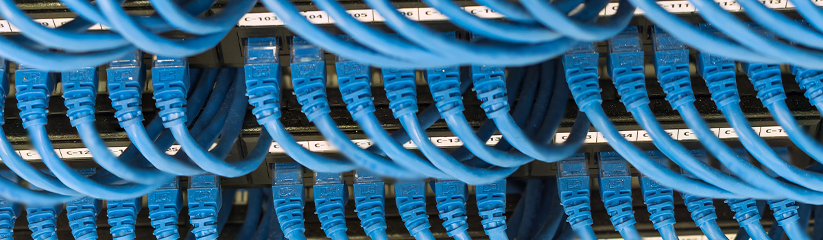 Close-up of structured network cabling with blue Ethernet cables connected to a patch panel, illustrating advanced fiber optic solutions for data centers by Universal Fiber Optics.