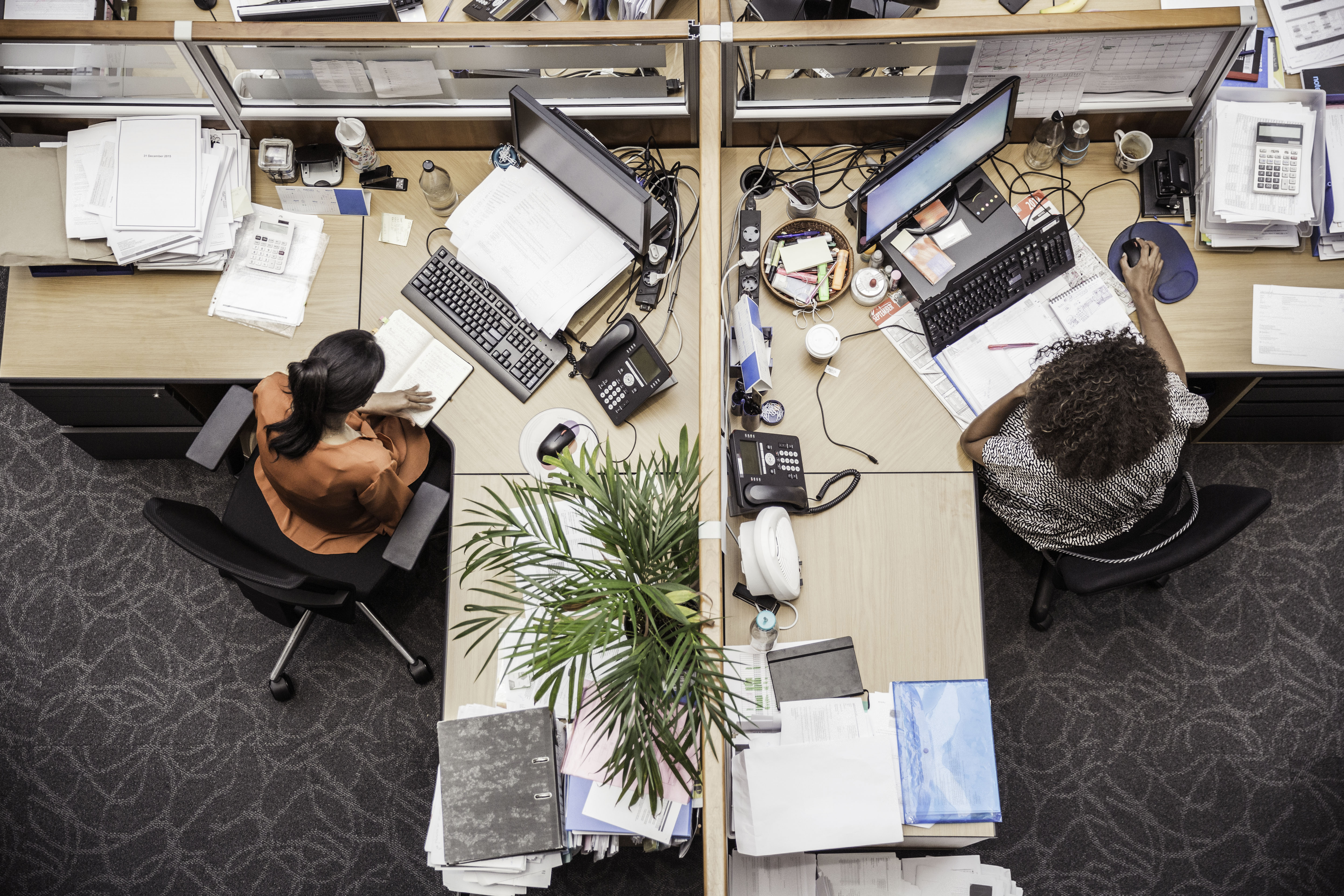 Office workspace with two employees at desks, one reading a book and the other using a computer, surrounded by paperwork and office equipment, representing network cabling services for commercial environments.