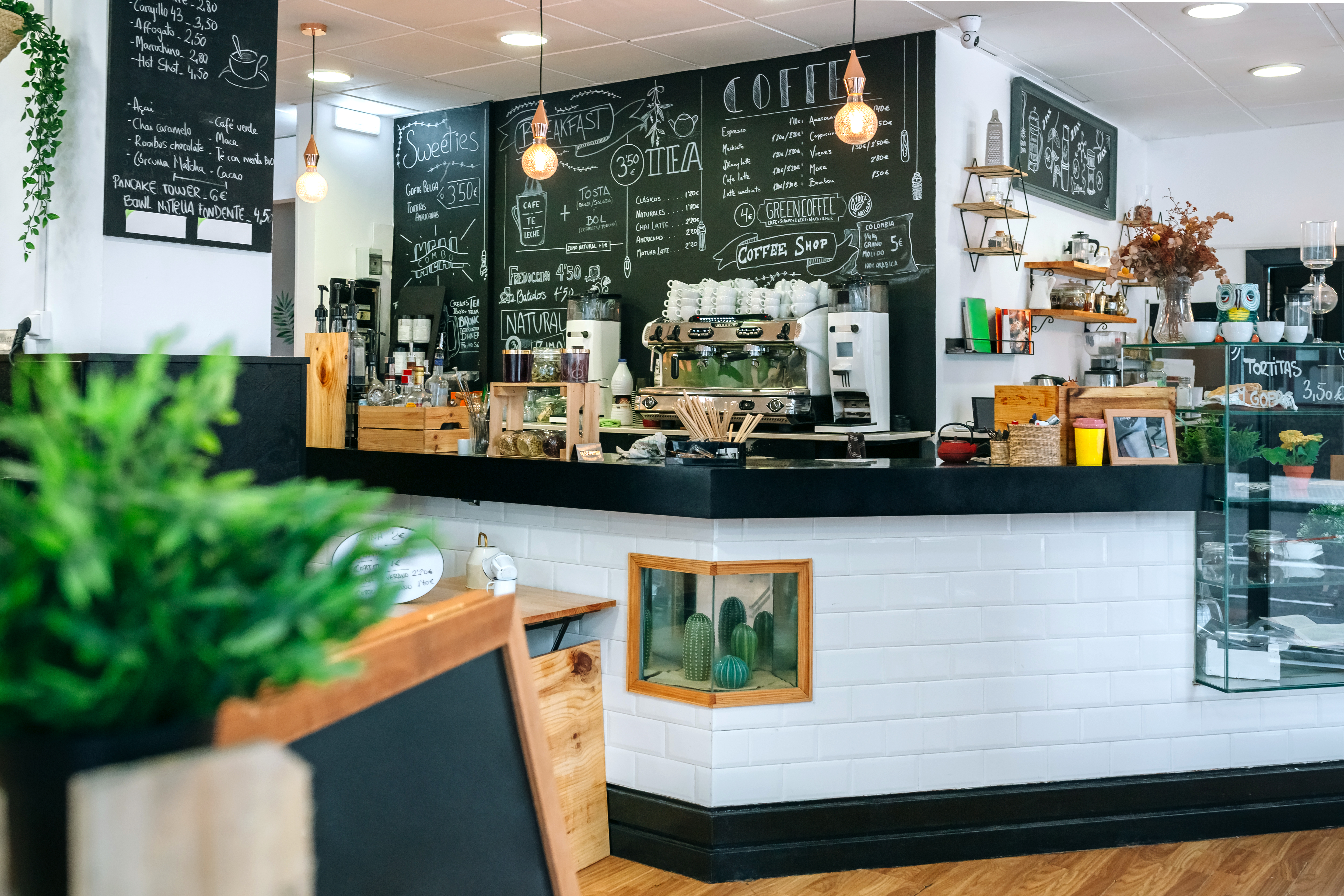 Coffee shop interior featuring a chalkboard menu, espresso machine, wooden shelves, and decorative plants, emphasizing a welcoming atmosphere for patrons.